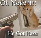 lolcats